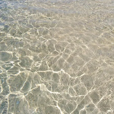 شقة 2 - Filio - - Sykia - View - Sithonia Valtí